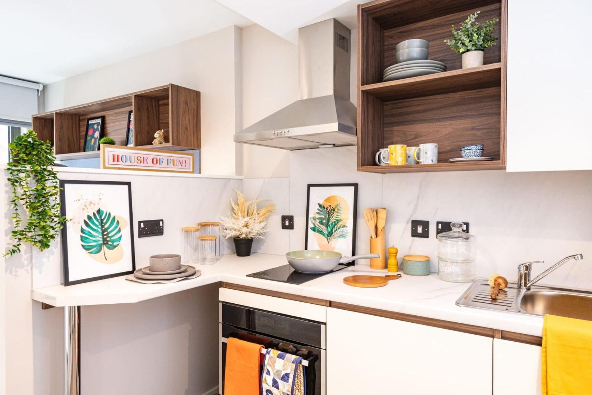 Cushy And At Nelson Place For Students Only Apartment *